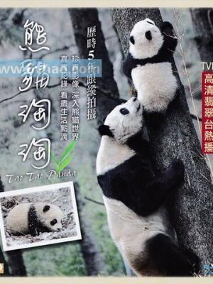 家族的故事